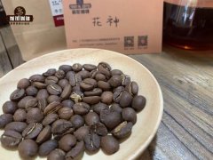 Is the unique flavor and high price of animal dung coffee common to animal dung coffee?