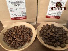 The difference between coffee beans and coffee powder do coffee beans and coffee powder stay fresh for the same time?