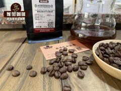 Relationship between hardness of Costa Rican boutique coffee beans and growth altitude