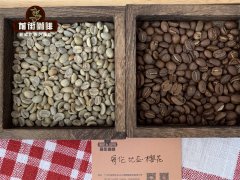 The advantages of boutique coffee beans the difference between Colombian boutique coffee beans and commercial coffee beans