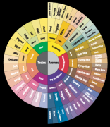 What is the design principle of coffee flavor wheel? Get to know the new coffee flavor wheel