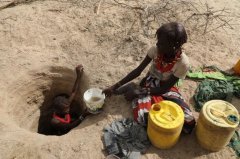 Is Kenya safe? drought and locusts in Kenya's coffee-producing countries lead to food shortages