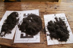 The difference between BOP, BOPF and CTC of Ceylon black tea