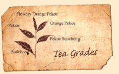 Which grade of tea is the highest and the best? International black tea grading system of FOP, BOP and BOPF