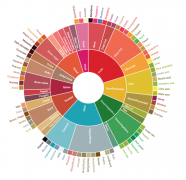 Coffee taste description you should use coffee flavor wheel to identify flavor in this way