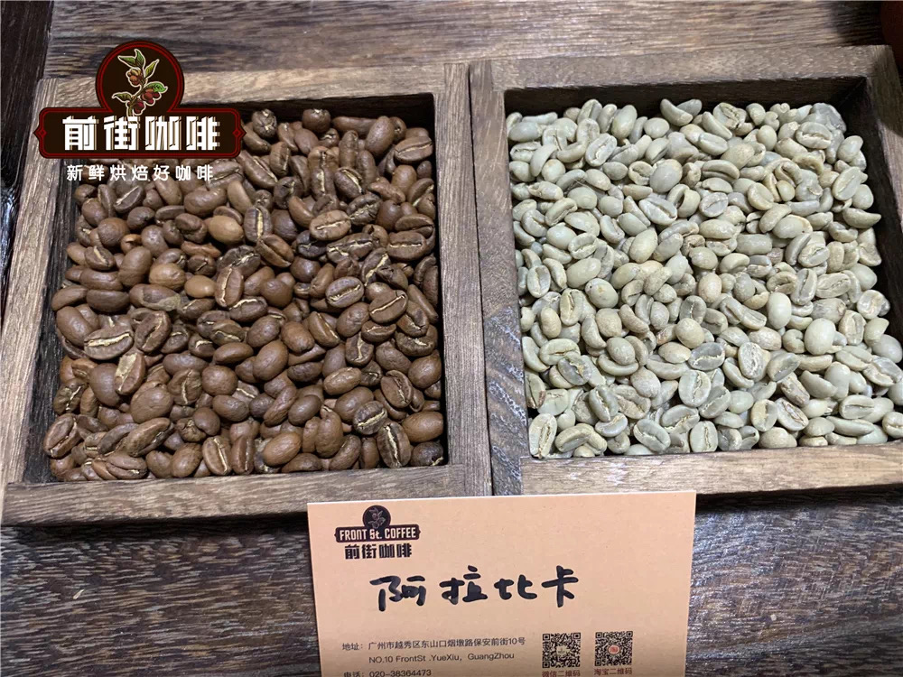 The difference between Indonesian Manning and Arabica Coffee PWN Gold Manning Coffee Bean flavor and taste characteristics