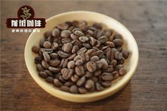 Premium Coffee beans-SCAA Fine Bean grading system