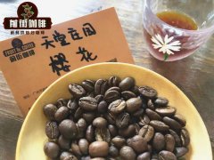 How good is Colombian coffee? What are the origins and characteristics of the cherry blossom coffee bean story?