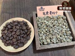 What is Mantenin Tiger Coffee? introduction to the taste characteristics of Indonesian tiger Mantenin coffee beans