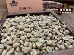 Can I eat raw coffee beans? Does eating coffee beans help you lose weight?