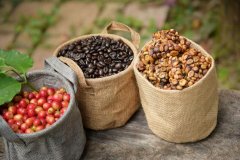 How to deal with coffee beans? does the honey of coffee beans taste good after treatment?