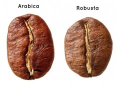 How many kinds of coffee do you have? A detailed introduction to the varieties of fine coffee beans. Coffee Knowledge Basics Teaching