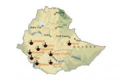 What coffee producing areas are there in Ethiopia? What's the taste of boutique hand-made coffee beans?