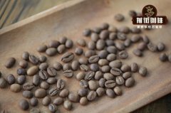 Recommendation of special treatment coffee beans in Ethiopia-introduction of anaerobic treatment coffee Amedilo