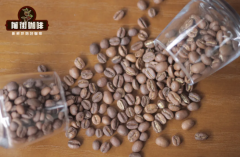 Hand-brewed coffee teaching-how does Ethiopia Yega Xuefei come out to taste good.