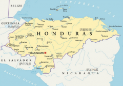Honduran coffee beans: what are the flavor characteristics of sherry barrel coffee beans and litchi orchid coffee beans?
